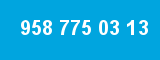 958 775 03 13
